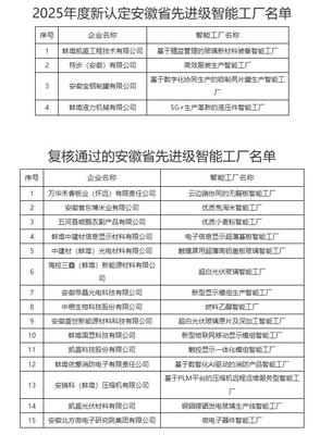 蚌埠4个先进级智能工厂获认定 智能网站优化驱动产业升级新范式